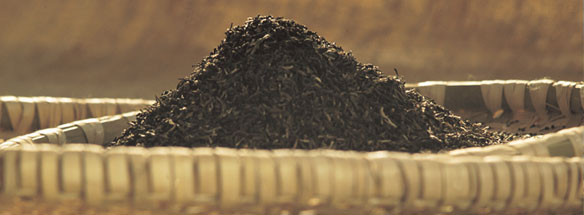 guranse tea estate